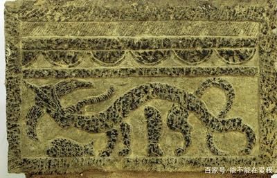 龍魚畫像，關于龍魚畫像的一些基本信息