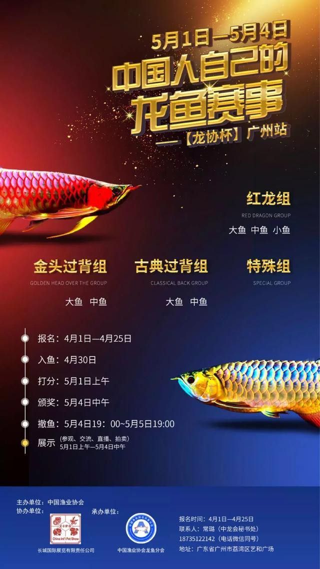 紅龍魚比賽報名