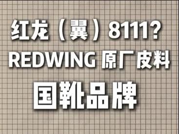 紅龍品牌未來的發(fā)展方向是什么？