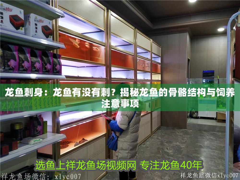 龍魚刺身：龍魚有沒有刺？揭秘龍魚的骨骼結構與飼養(yǎng)注意事項