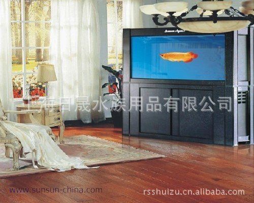 大型龍魚缸效果圖大全，大型龍魚缸的設(shè)計、制作、養(yǎng)護方法