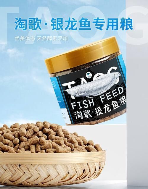 銀龍魚專用魚糧圖片大全