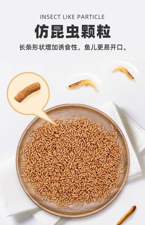 銀龍魚專用魚糧圖片大全