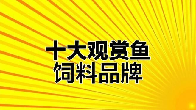 銀龍魚專用魚糧圖片大全