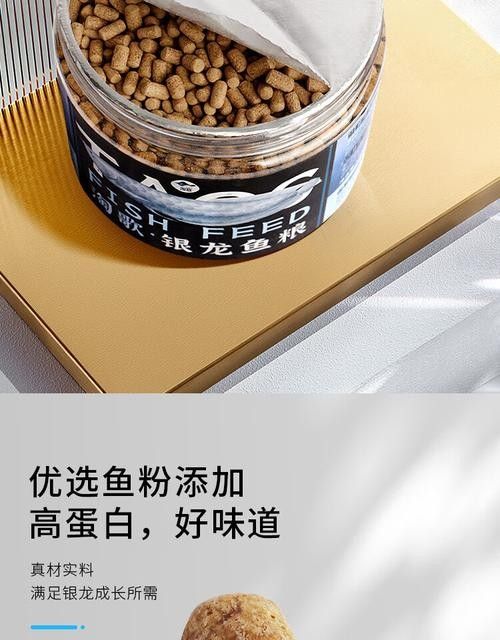 銀龍魚專用魚糧圖片大全