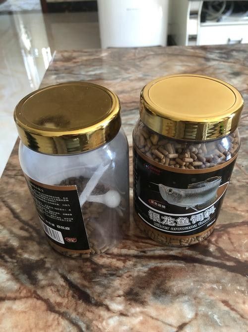 銀龍魚專用魚糧圖片大全