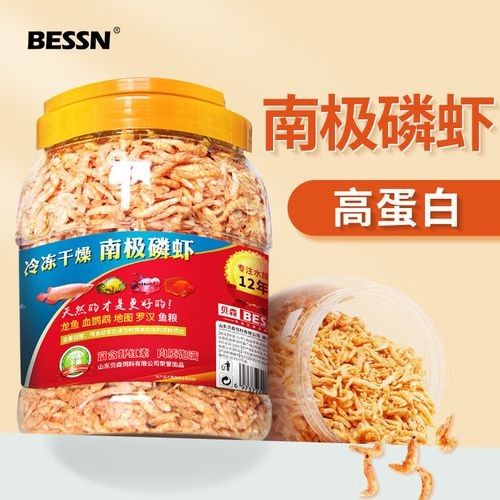 銀龍魚專用魚糧圖片大全