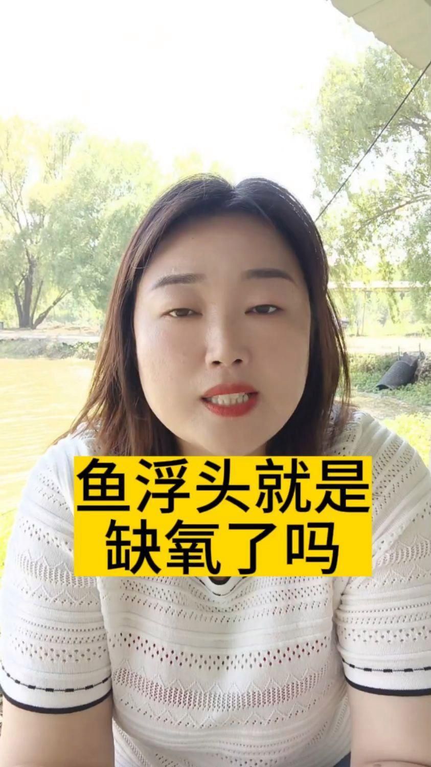 如何判斷魚類浮頭是否由缺氧引起？