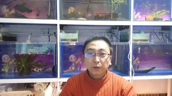 觀賞魚光照周期研究：光照周期對觀賞魚的生長、攝食、繁殖和健康有著深遠的影響
