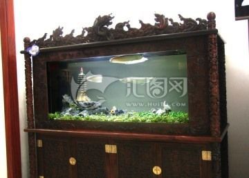 金龍魚臥缸怎么辦：當金龍魚出現臥缸時，可能是由于多種原因引起的