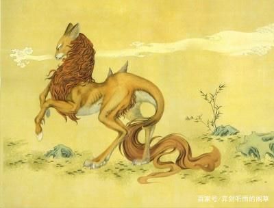 瑞獸龍魚（龍魚在風水中的具體作用）