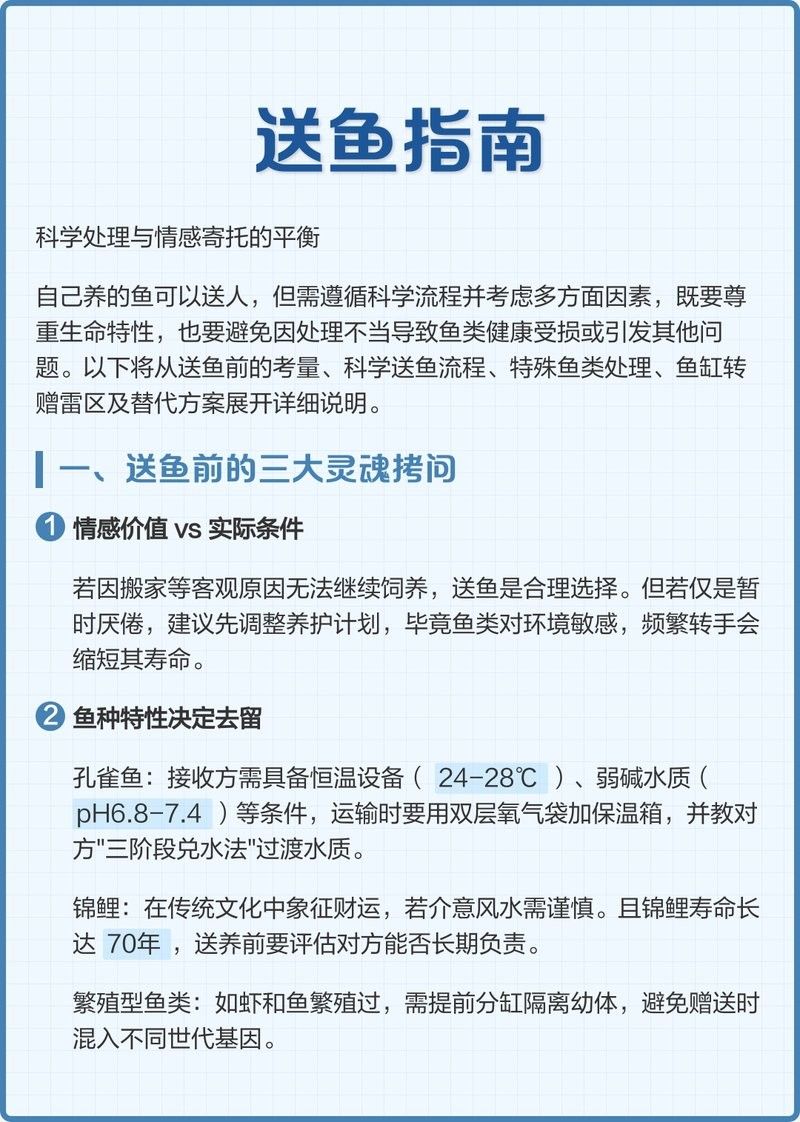 雪龍魚轉(zhuǎn)讓