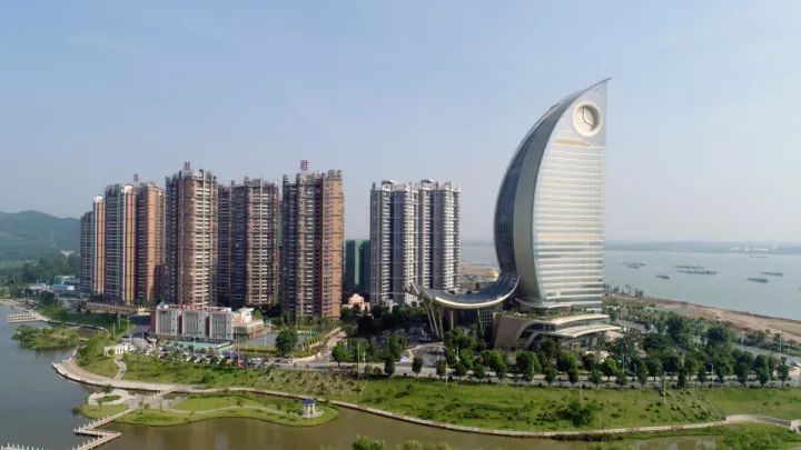一金二銀龍魚組合（一金二銀的組合在風水上可能是吉利的）