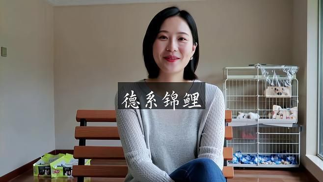 錦鯉德系和日本哪個好