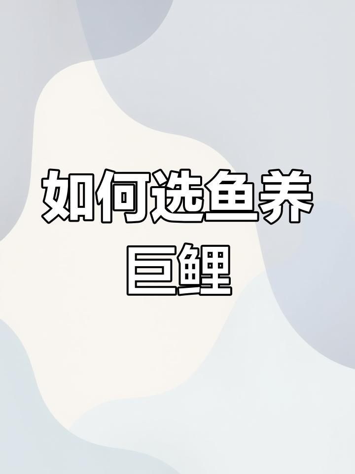 錦鯉德系和日本哪個好