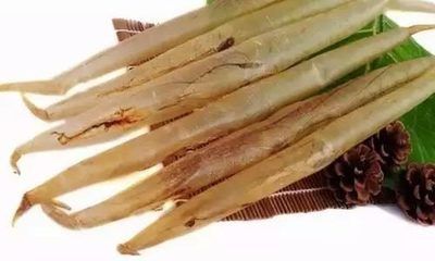 金龍魚膠50頭價格（優(yōu)質(zhì)金龍魚膠產(chǎn)地推薦,金龍魚膠保存方法介紹）