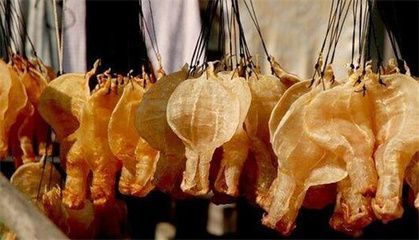 金龍魚膠50頭價格（優(yōu)質(zhì)金龍魚膠產(chǎn)地推薦,金龍魚膠保存方法介紹）