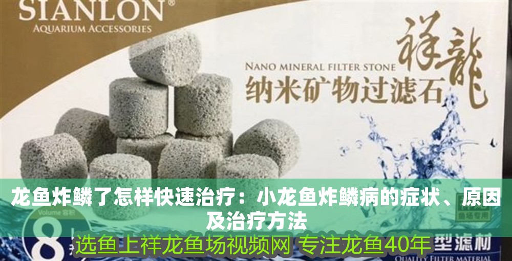 龍魚炸鱗了怎樣快速治療：小龍魚炸鱗病的癥狀、原因及治療方法