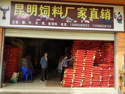 魚飼料衛生安全注意事項：魚飼料生產過程中的注意事項以確保魚類健康和食品安全