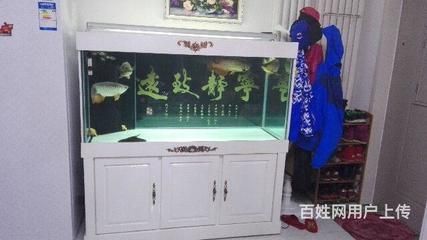 龍魚(yú)為什么撞魚(yú)缸的頂部：龍魚(yú)為什么撞擊魚(yú)缸的頂部