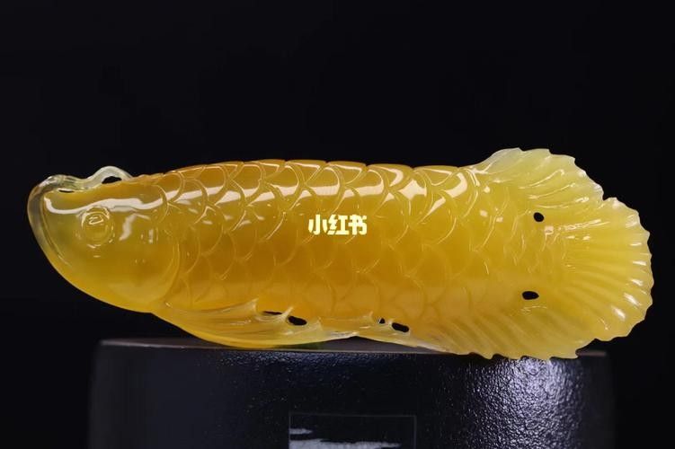 金龍魚雕刻圖片大全
