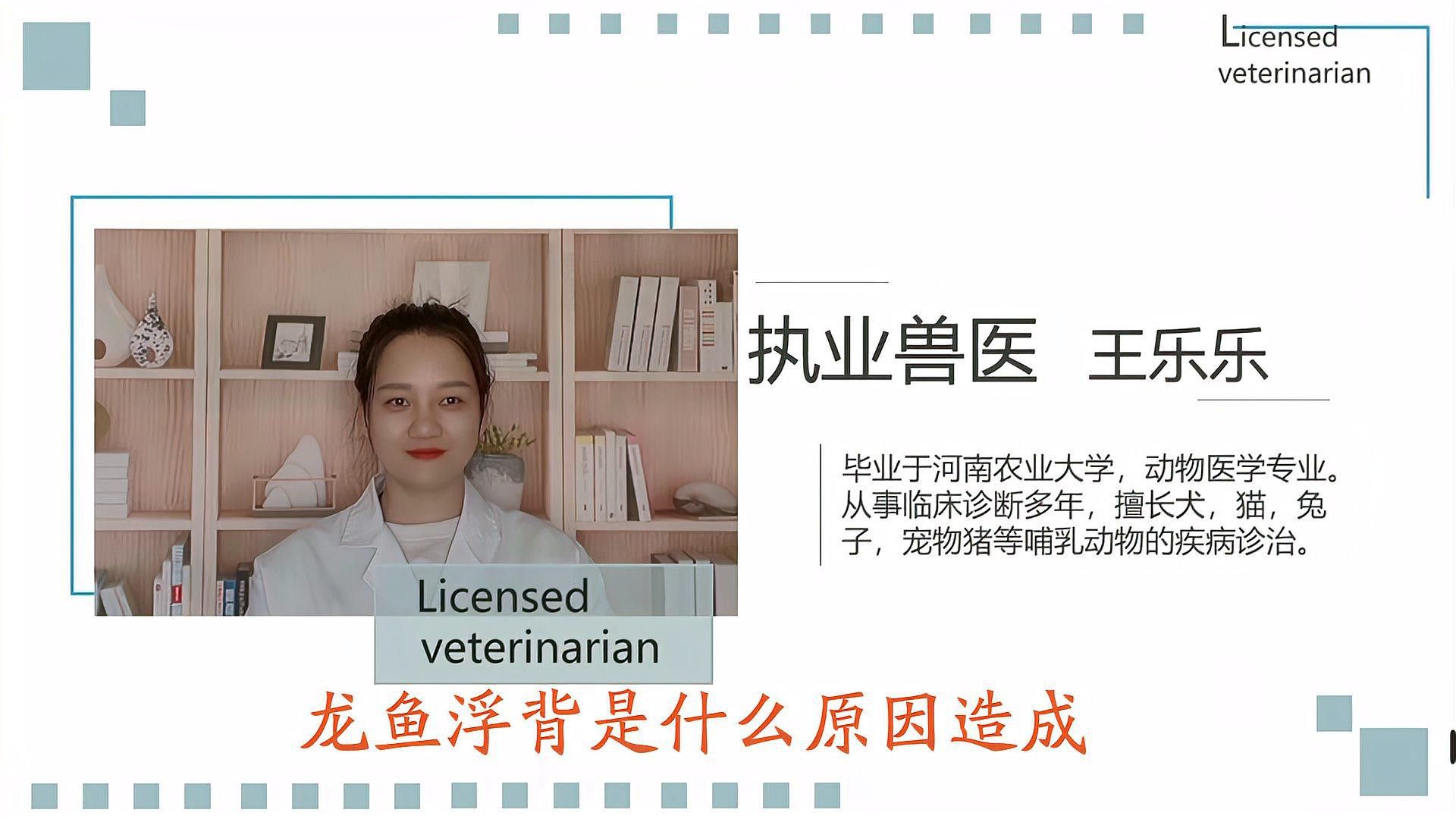 如何預防龍魚浮背？ 如何預防龍魚浮背？ 龍魚百科 第2張