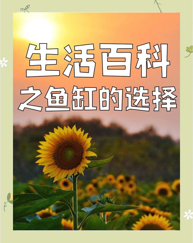 馬印水族魚(yú)缸最忌三個(gè)東西