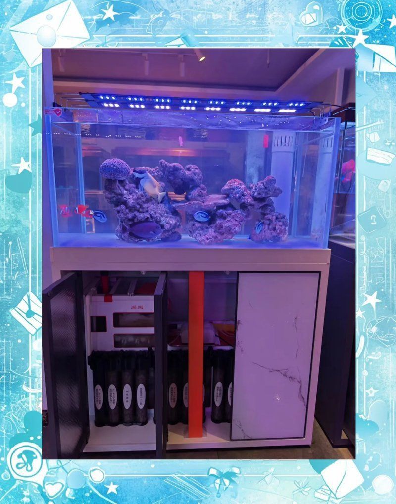 馬印水族魚(yú)缸最忌三個(gè)東西