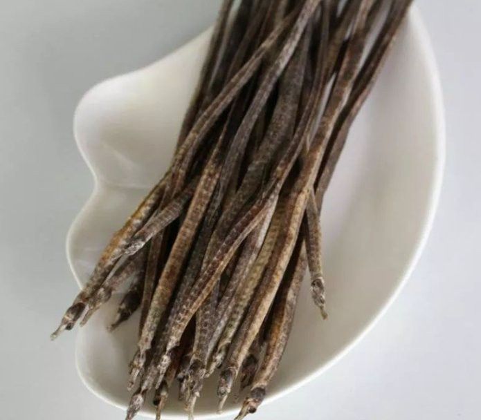 海龍中哪種藥用價值最高？