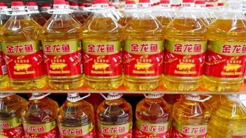 金龍魚不吃東西用熬深3號(hào)藥水可以嗎：金龍魚不吃東西用熬深3號(hào)藥水可以嗎，熬深3號(hào)藥水可以嗎