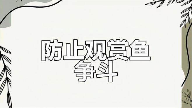 如何預(yù)防魚打架受傷？
