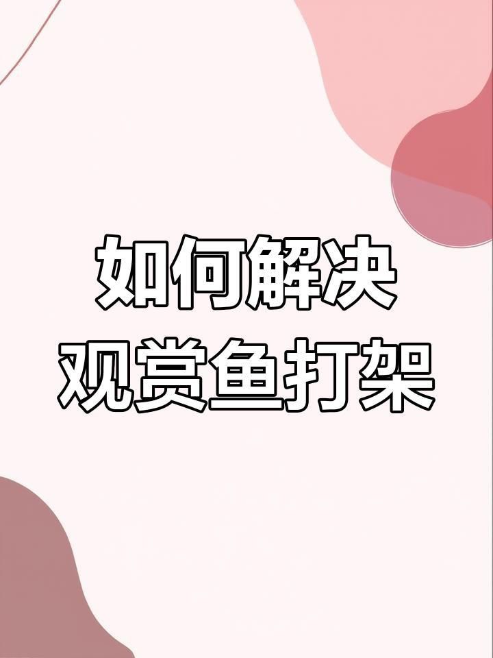 如何預(yù)防魚打架受傷？