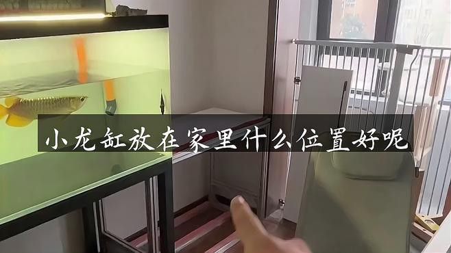 龍魚缸的最佳擺放位置在哪里？ 龍魚缸的最佳擺放位置在哪里？ 龍魚百科 第5張