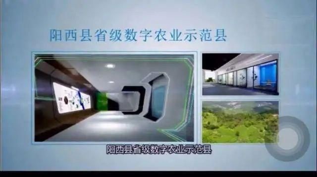 陽西縣水產養(yǎng)殖產學研合作成效：陽西縣產學研合作取得顯著成效