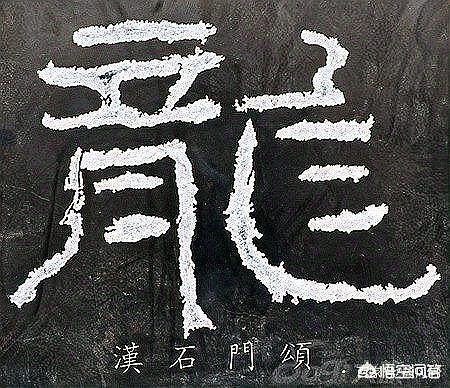 龍的演化過(guò)程