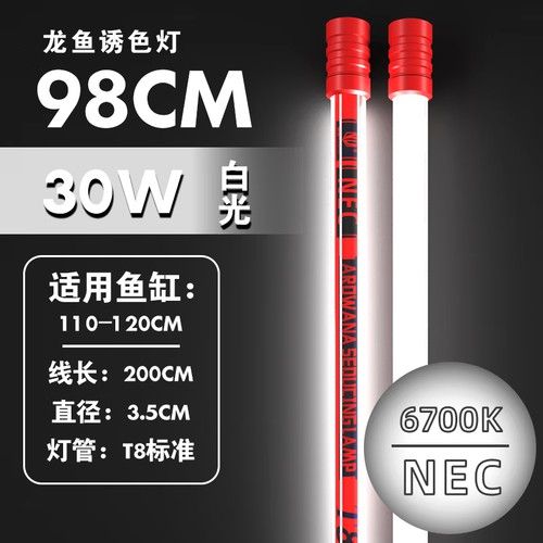 金龍魚燈擺放位置圖片大全