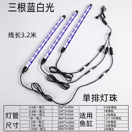 金龍魚燈擺放位置圖片大全