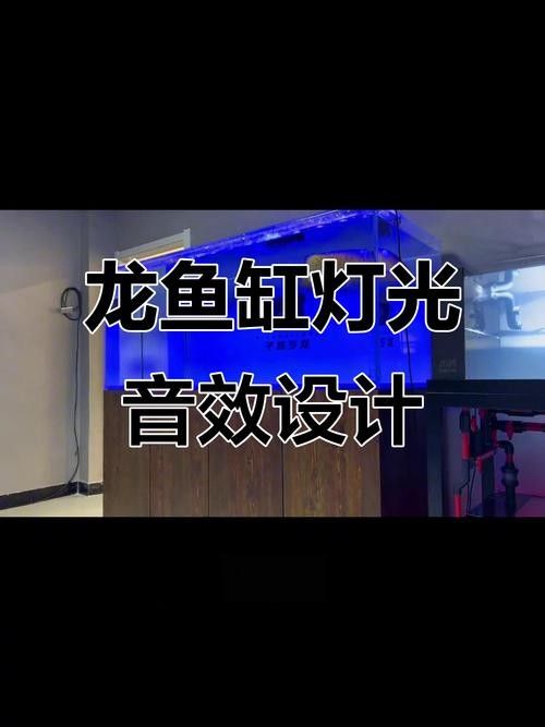 龍魚不掉眼圖片
