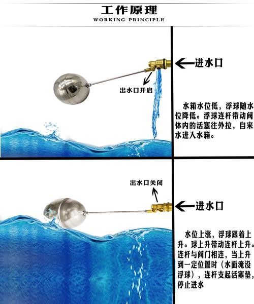 龍魚不掉眼圖片