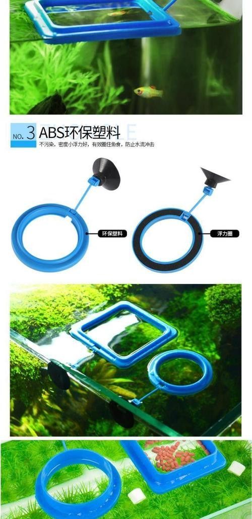 龍魚不掉眼圖片
