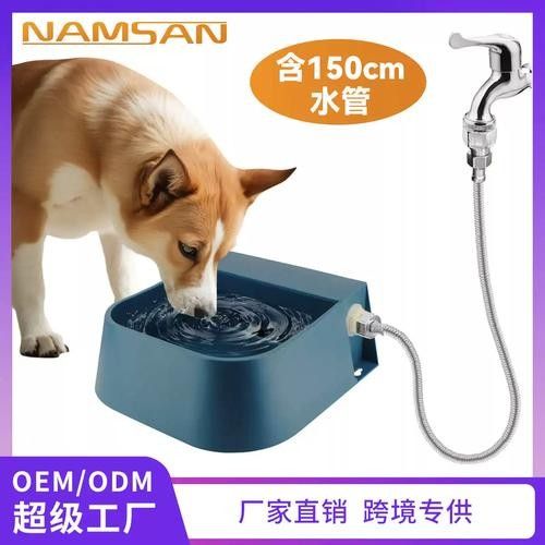 龍魚不掉眼圖片