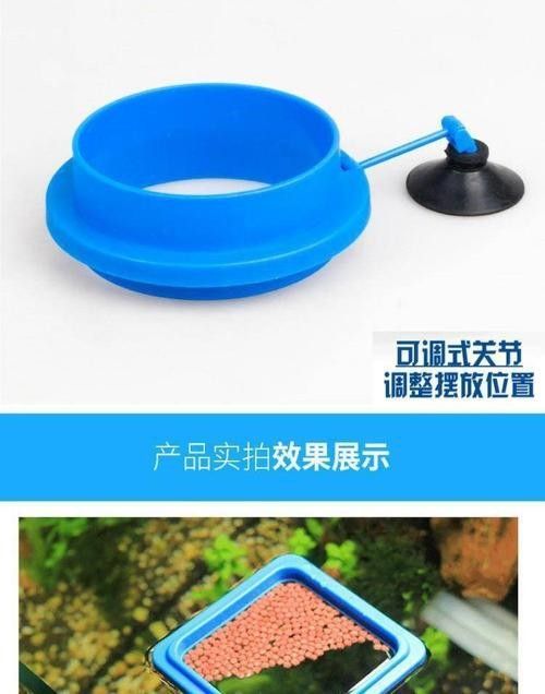 龍魚不掉眼圖片