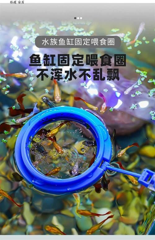 龍魚不掉眼圖片