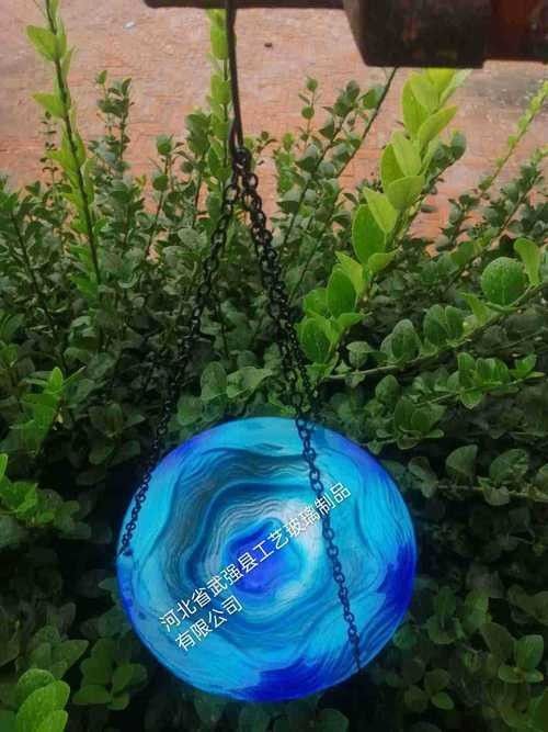龍魚不掉眼圖片