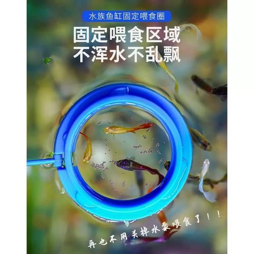 龍魚不掉眼圖片