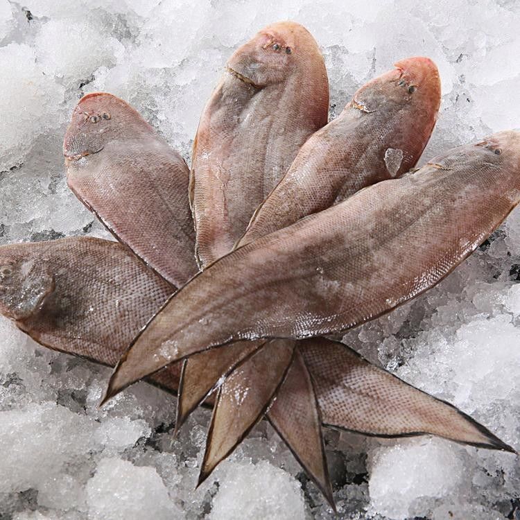 龍魚哪里的好吃又便宜的