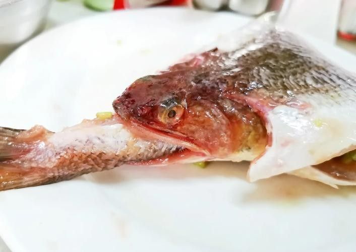 龍魚哪里的好吃又便宜的