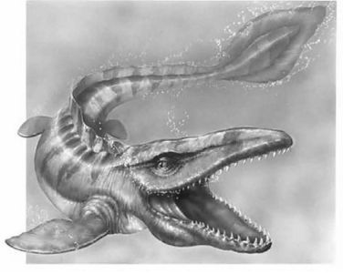 夢(mèng)見(jiàn)魚(yú)龍好不好：夢(mèng)見(jiàn)魚(yú)龍?jiān)谥芄鈮?mèng)中有著不同的解釋