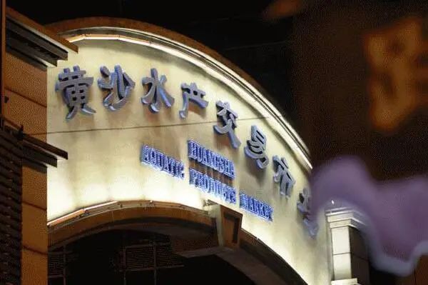 中國魚苗批發最大市場