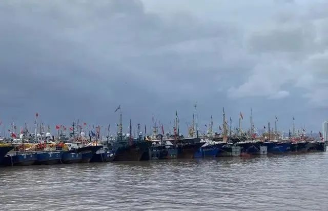 中國魚苗批發最大市場